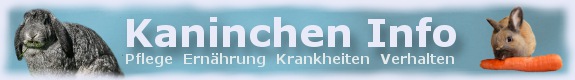 Banner von kaninchen-info.de